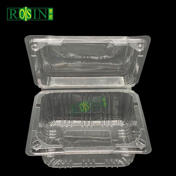 Rectangle Clear PET Disposable Clamshell Food Container Plastic Takeaway Box with Lid for Fruit