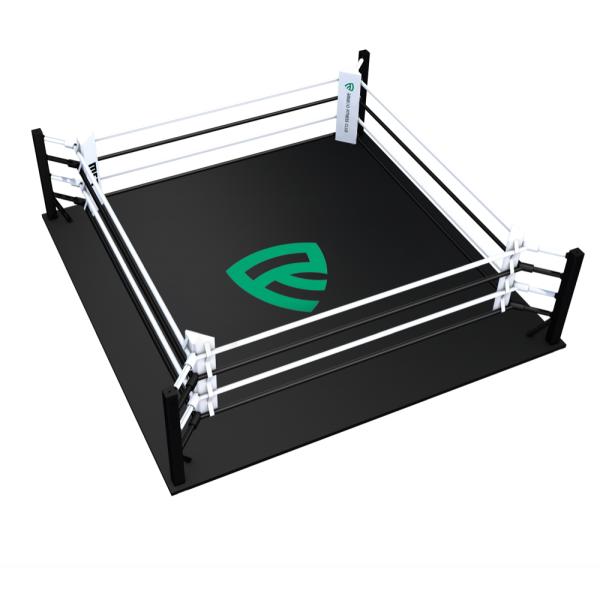 Easy Install 5m 6m 7m Foldable Floor Boxing Ring Customized Color