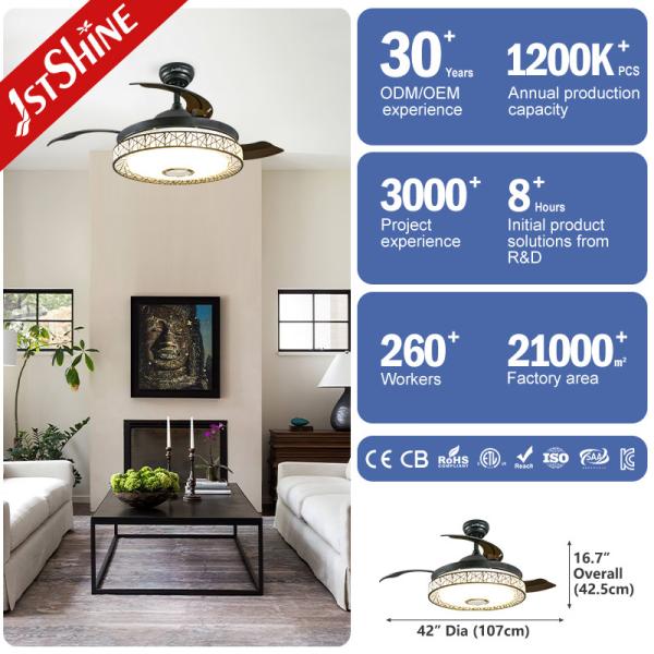 42 Inch Multifunctional Music Hidden Blades Ceiling Fan Light Lighting Solutions Service