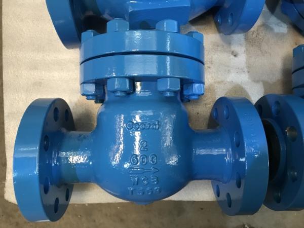 Food Industry Swing Type NRV Check Valve