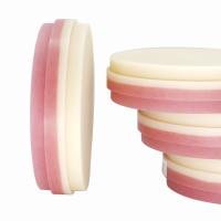 Bloco de Pmma dentário rosa-A2 95mm / 98mm Pmma Coroa temporária