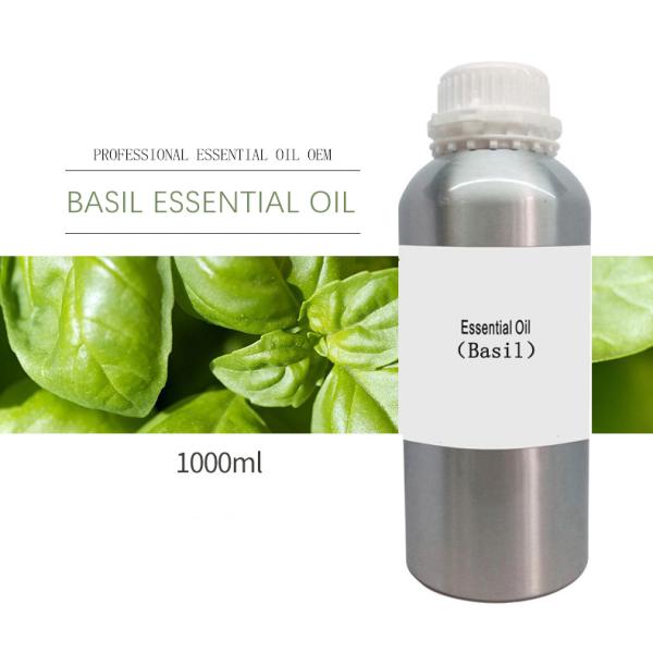 100% Organic Basil Essential Oil Basil Oil Aromatherapy Distillation FDA