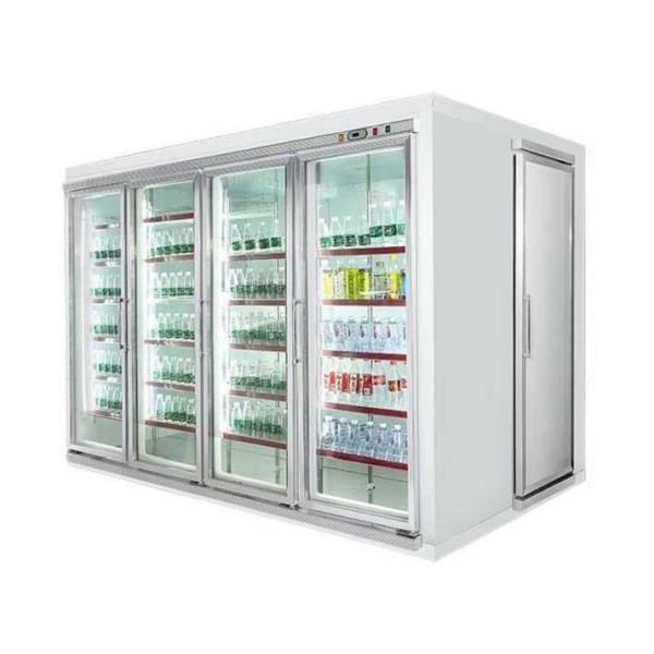 O refrigerador ereto comercial da exposição da bebida para o frio bebe/carne 540W