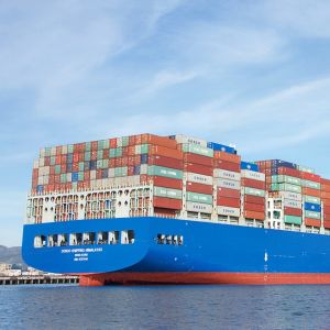 Sea Cargo Shipping From NINGBO China To America International Dropshipping