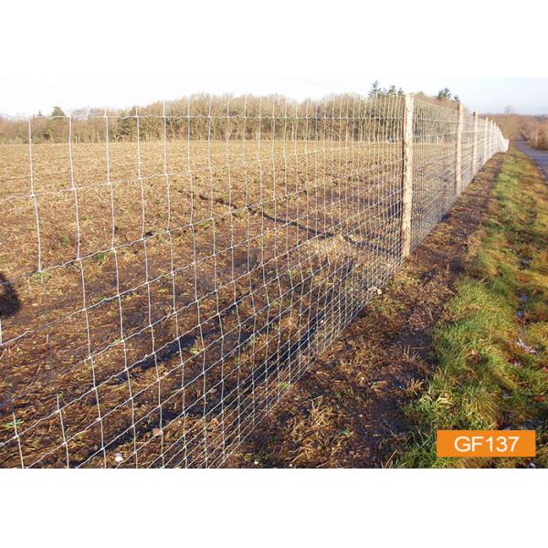 Сплетенные животные провода ограждают панели