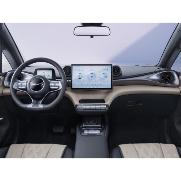 Дельфин полностью электрические хэтчбекные автомобили 5-местные литий-железофосфатные батареи