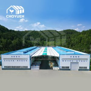 Sichuan Xinglong Excellence Development Science and Technology Co., Ltd.