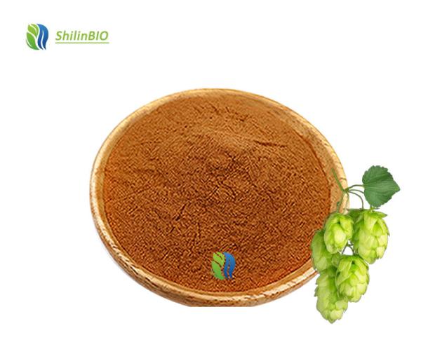 Hops Flower Extract Powder 1%-98% Xanthohumol