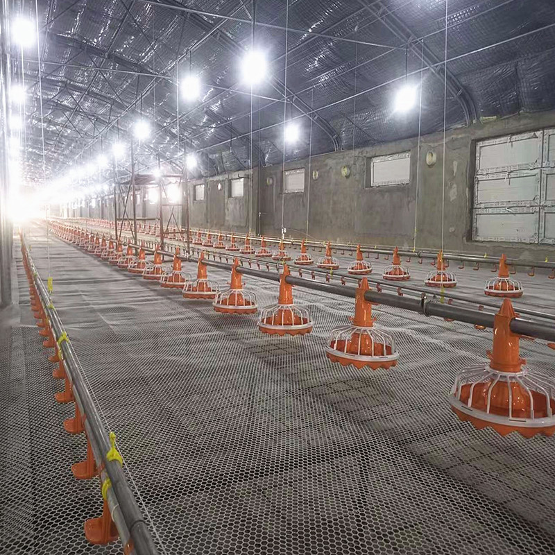 фидер цыпленка пьяницы ниппели воды 3m/Set, фидер бройлера ISO9001 4holes автоматический