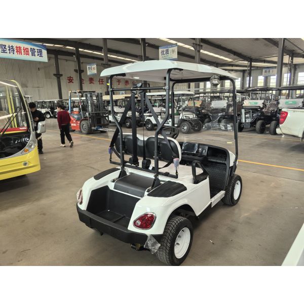 LCD Instrument Dash Board 2 Seats Mini Golf Cart with and Speed of 25-40 Mph