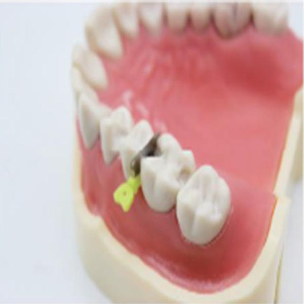 Medical Wedge Guard High Quality Disposable  Dental Plastic Wedge Guard