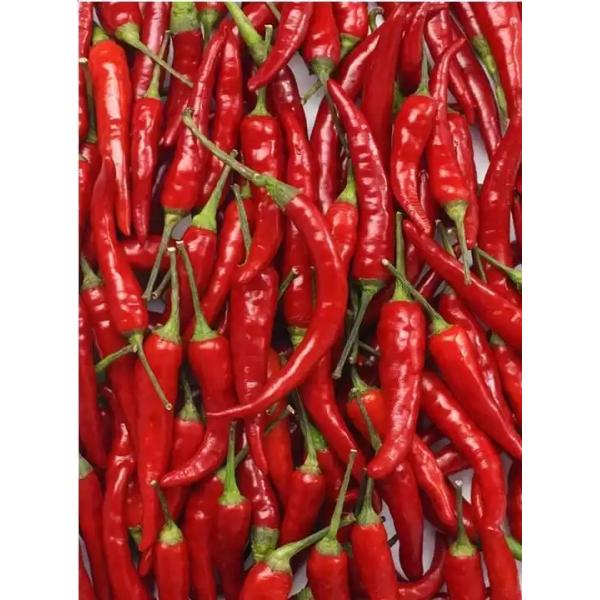 Сортировщица цвета пояса Chili горячего перца с камерой RGB