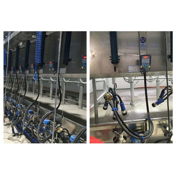 Digital Vacuum 50Kpa Herringbone Milking Parlor For Dairy Farm