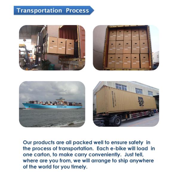 Single Speed Mode Pedal Assist Scooter 10