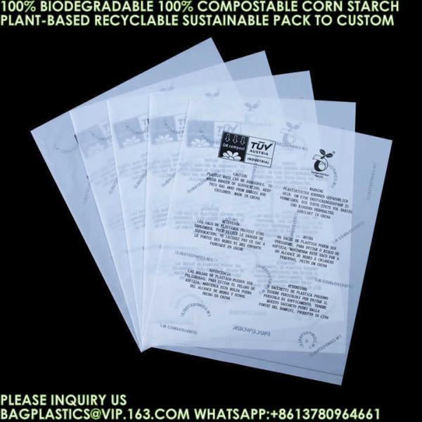 Eco-Friendly Recyclable Bag Corn Starch Compostable Beverage Bag 100% Biodegradable Vegetable Fruit Pouch Bags