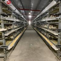 Le poulet à rôtir complètement automatique de batterie mettent en cage le type de l'aviculture H