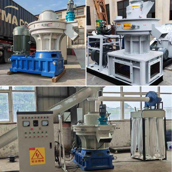 Vertical Sawdust Wood Pellet Maker Ring Die Biofuel Pellet Machine Easy Operation