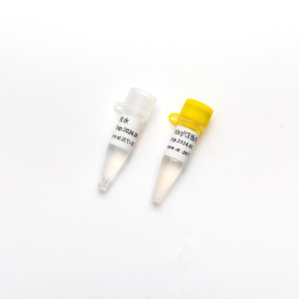 P2801-4 Concentrated Premix Direct Multiplex Probe 2× QPCR PCR Reagent Mix Plus With UDG