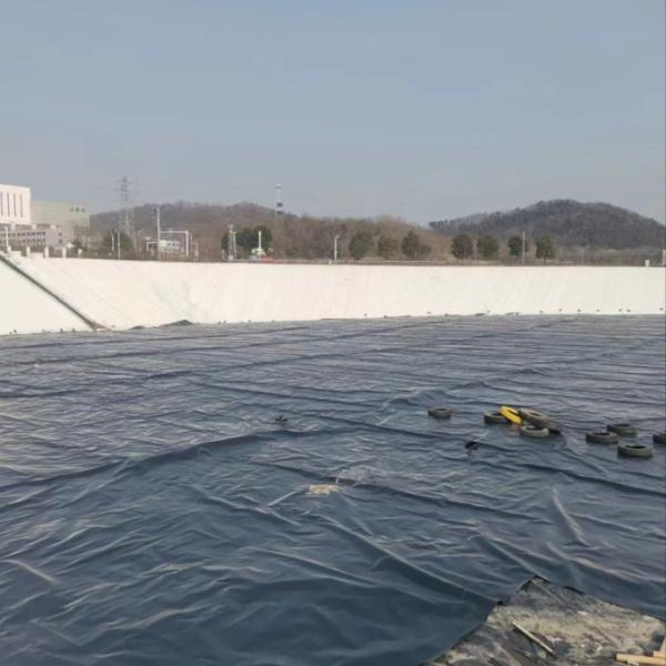 PVC Geomembrane Liner Black Environmentally Friendly Geomembrane Substrate For Sewage Treatment Plants