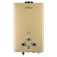 GPL et gaz naturel Geyser 6L chauffe-eau instantanée sans réservoir
