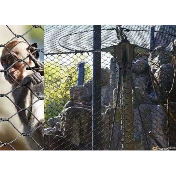 Manufacturer Of Durable SS304 Wire Rope Mesh For Animal Park Construction