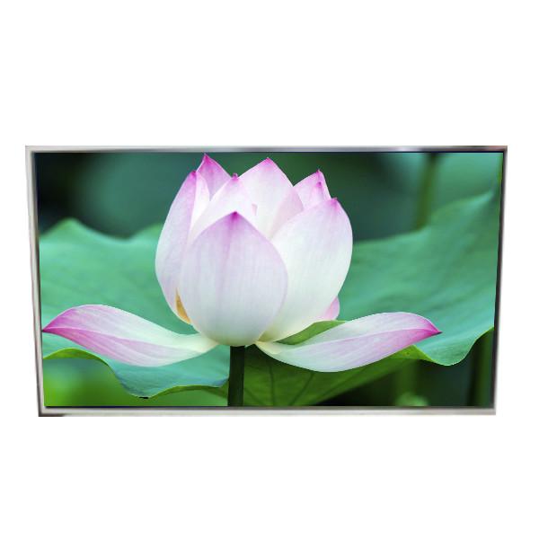 49.0 pouces 1920*1080 51 broches écran LCD 60Hz LD490DUN-THA1