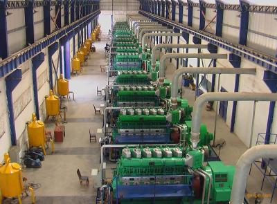 10 X 2000kW LNG gas and Heavy Fuel Oil Power Plant with Generator 500 Rpm 600 Rpm 750 Rpm