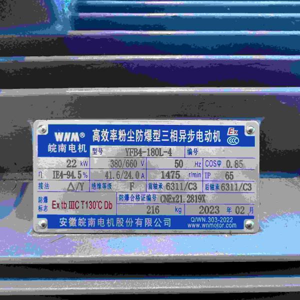 6KV IE3 Three Phase High Efficiency Electric Motor For Transport Machinery