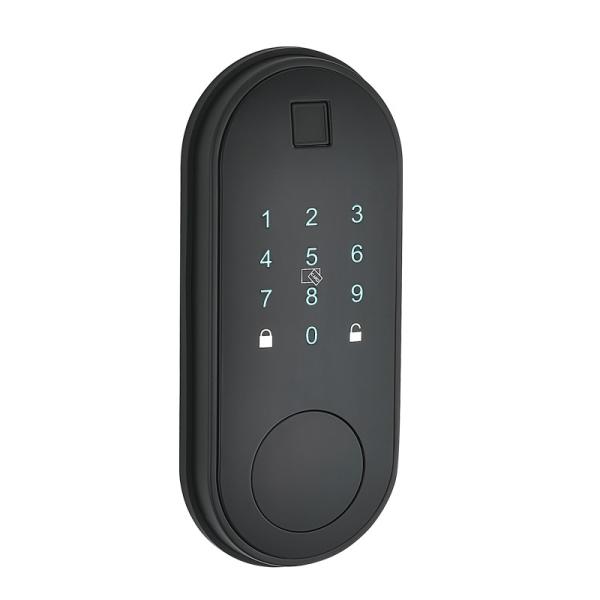 Aluminum Smart Home Door Lock Anti Theft Sliding Door Smart Lock