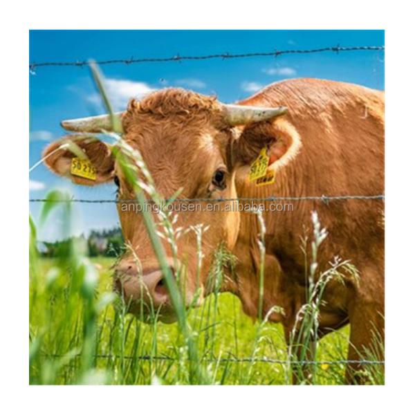 Melhor Farm Galvanizado PVC revestido de arame farpado com dois fios de torção e 1,5-3cm Barbe comprimento