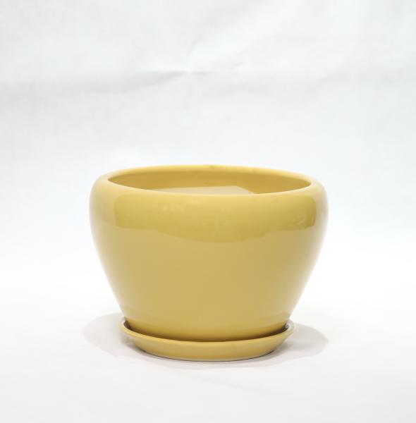 Stylish And Functional Ceramic Pots Perfect For Any Plant And Any Space