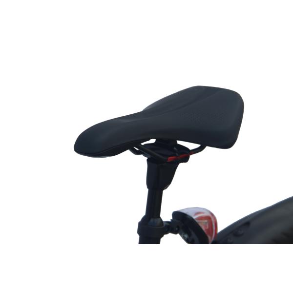 350w Portable Folding Electric Bike Hub Motor E Bike With Removable Battery 36V 10Ah