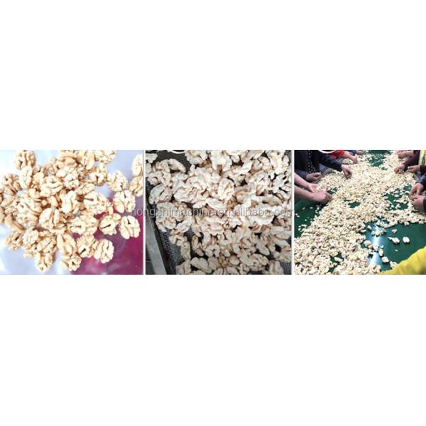 Walnut Kernel Seed Coat Removing Machine , Stable Nut Kernel Peeling Equipment