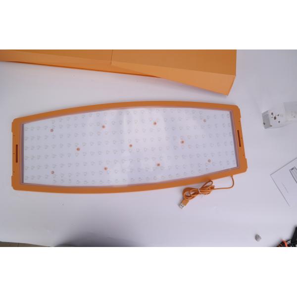 Latest 216 Lamps & 8-Color Silicone LEDs-lights Therapy Facial & Neck & Body Beauty Machine