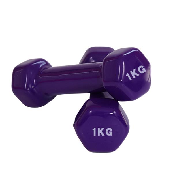 Durable 5cm Fitness Neoprene Dumbbell Indoor Sport DW Vinyl Coated Hand Weights