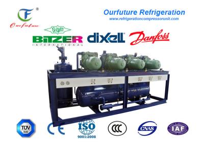 Cremalheiras de mantimento frescas do compressor da paralela da unidade do compressor da sala fria da carne