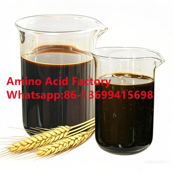 Amino Acid Liquid 30% Free Chloride Plant Source Amino Acid Fertilizer
