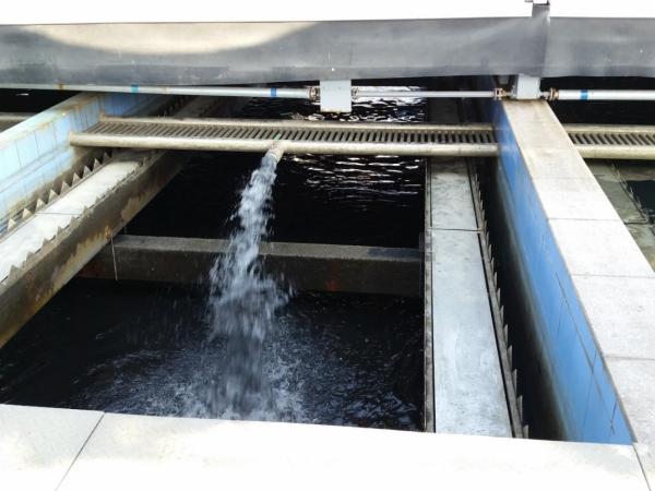 Charbon actif à base de charbon en poudre pour le traitement des eaux usées