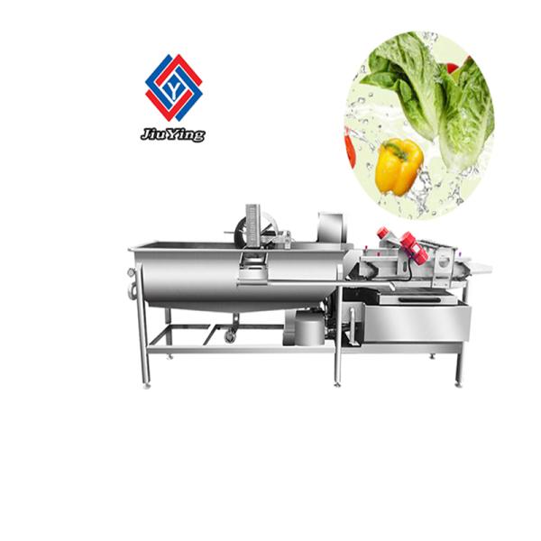 800-1000kg/H Vegetable Fruit Washing Machine Salad Processing Equipment