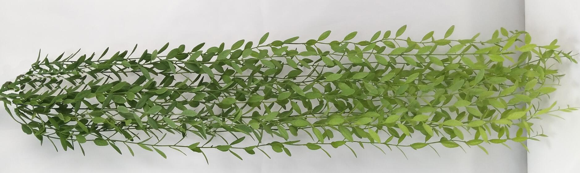 Вечные 90cm искусственные вися заводы для домашнего оформления