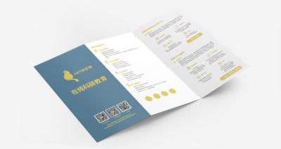800gsm 1000gsm Hardcover Brochure Printing Offset Flyer Printing