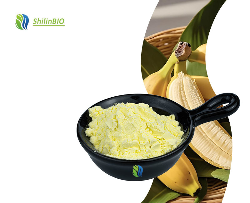 SLBIO Factory Supply High Quality Banana Fruit Powder Food Grade Herbal Extract with Bottle & Drum Packaging