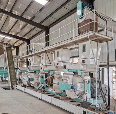 Indonesia 10t/h Wood Biomass Pellet Production Line Used in Biomass Power Generation