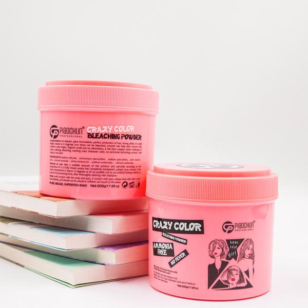 Convenient Professional Permanent Hair Color Powder 500G Ammonia Free Salon Use