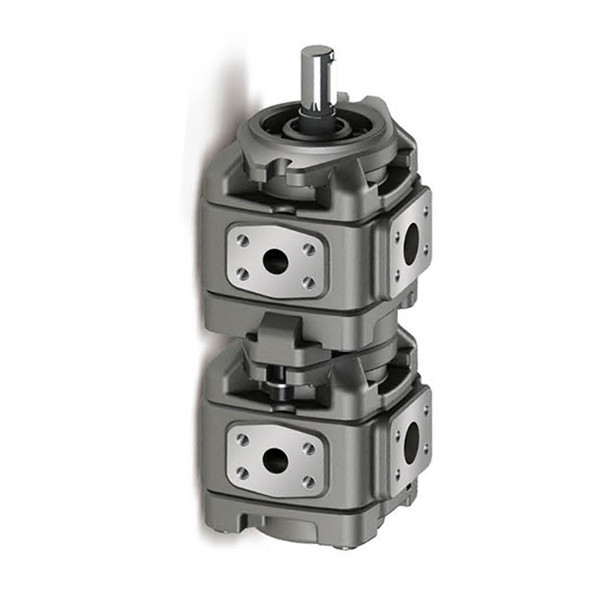 Викерс 931230 Гидравлический насос GD511A109FUFUL20IN189 OEM