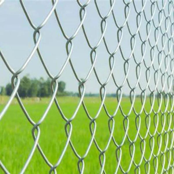 Durable Metal Mesh Rolls Chain Fencing Galvanized High Tensile Chain Link Mesh