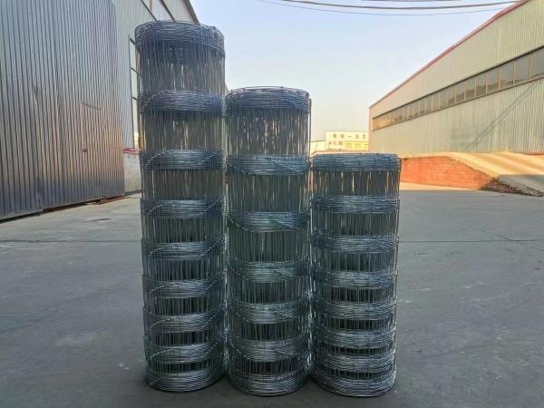 Wholesale High Quality Cattle Wire Mesh Fence Galvanized Farm Fence / Farm Cattle Wire Mesh