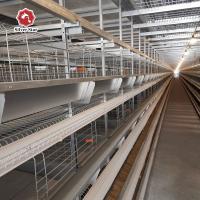 Sistema automático de jaula de capas con ventilación de 4 niveles Capacidad para 120 pollos