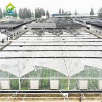 Estufa tropical do filme de plástico do tempo do multi período do dente da serra com proteção do sistema