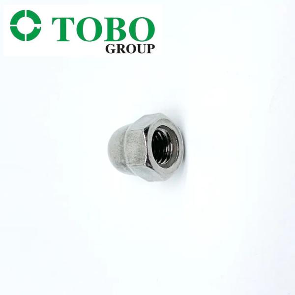 304 Stainless Steel Hex Cap Nut DIN 1587 Hexagon Domed Cap Nut